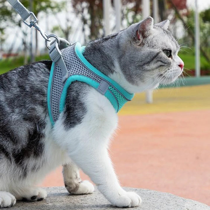 Reflective Cat Harness