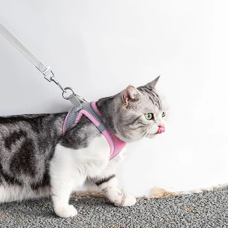 Reflective Cats Harness