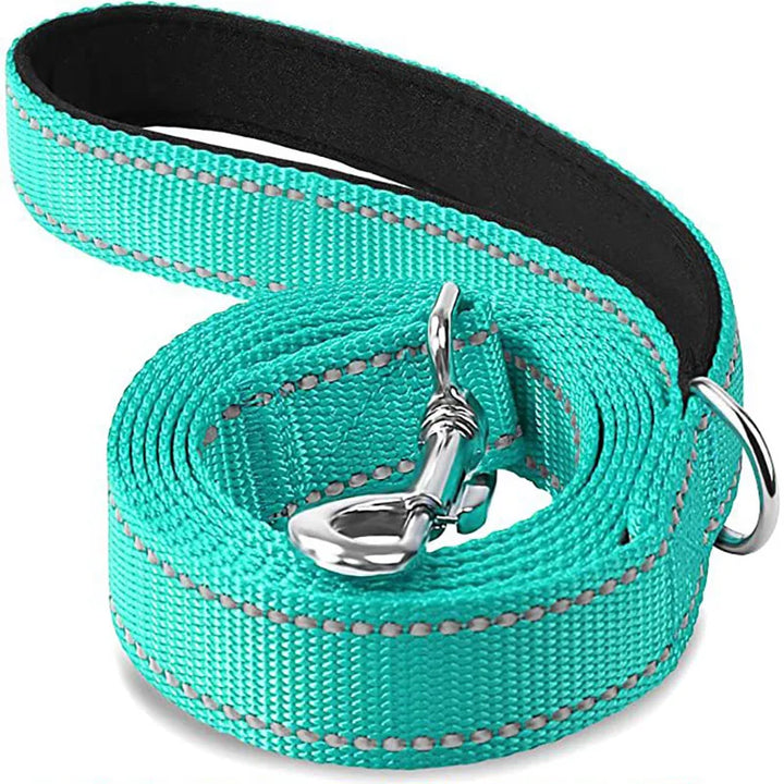 Reflective Dog Leash for Night Walking
