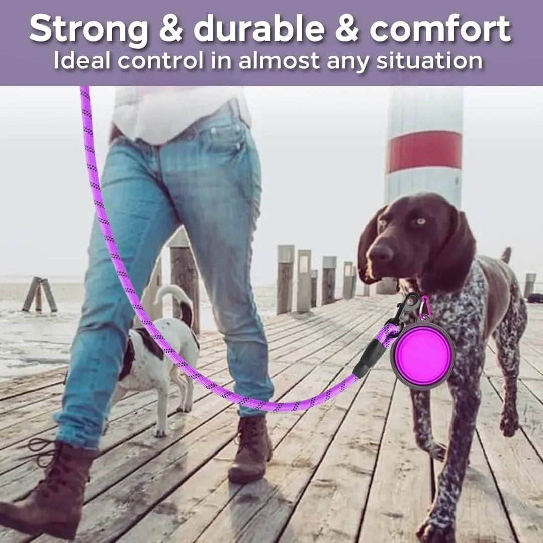 Reflective Dog Leash for Safety