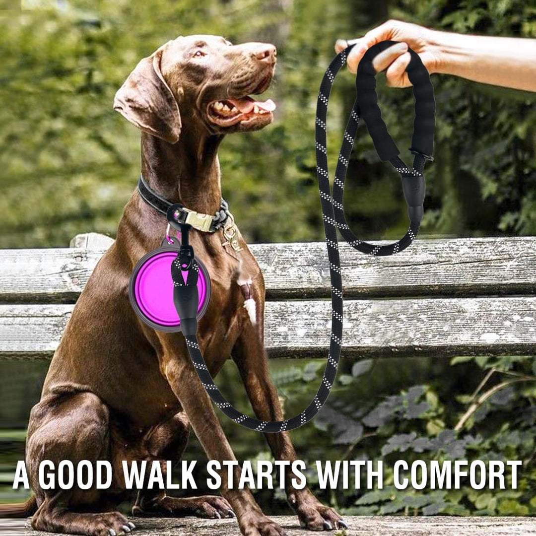 Reflective Leash for Medium Dogs