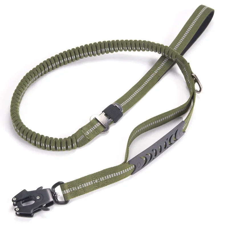 Reflective leash for hiking trips