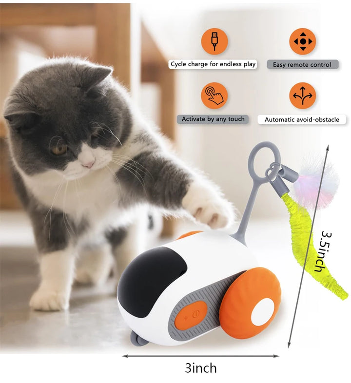 Remote-Controlled Car for Cats