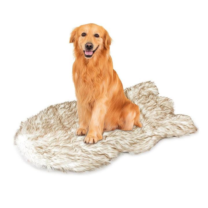 Removable cover dog bed for pets