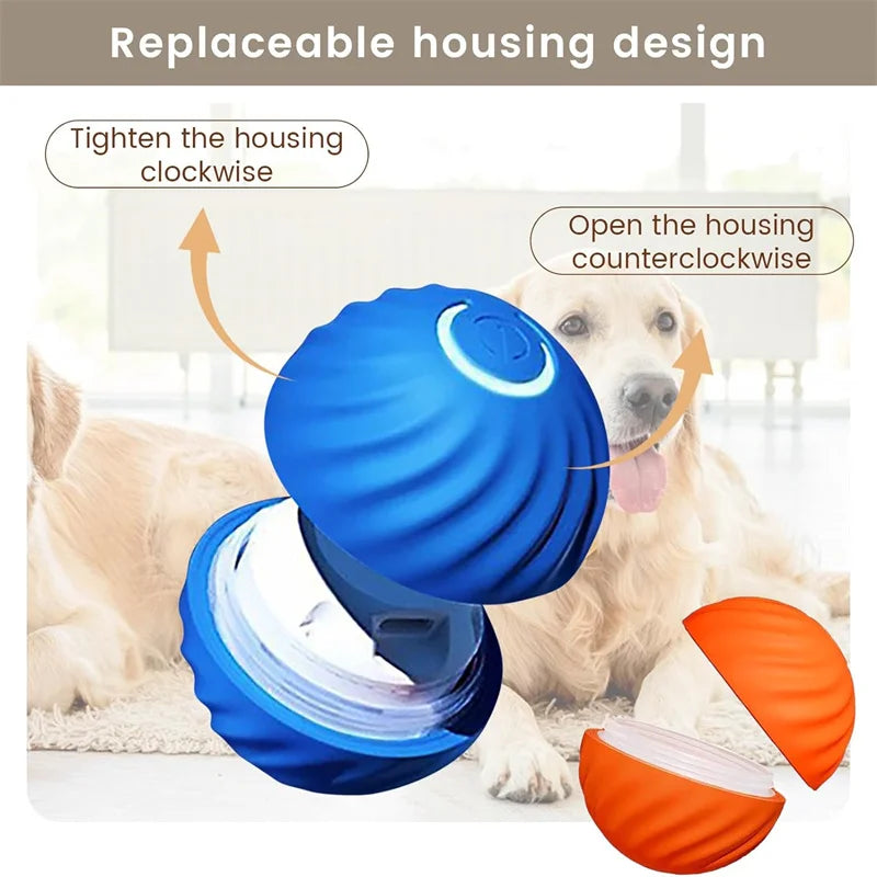 Replaceable Housing Design Ball For Dogs 