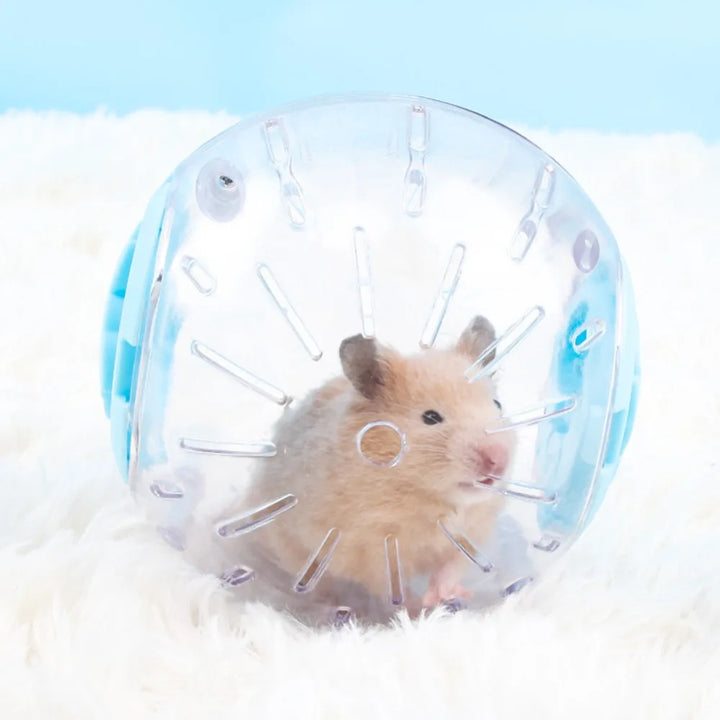 Rolling Ball for Small Pets
