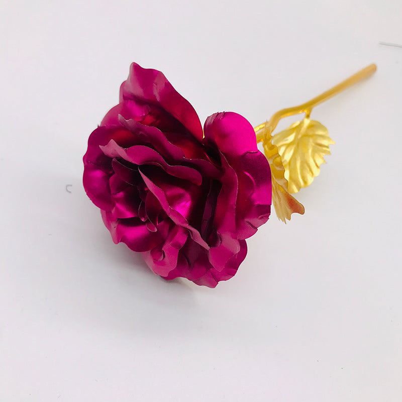 Rose red nude flower gift
