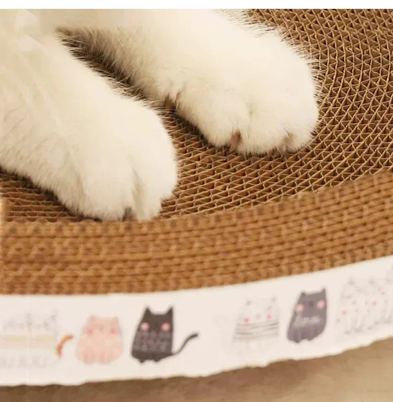 Round Cat Scraper