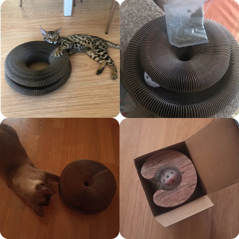 Round Cat Scratcher for Claw Grinding
