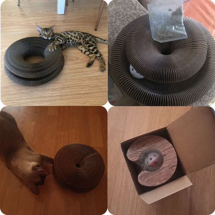 Round Cat Scratcher for Claw Grinding
