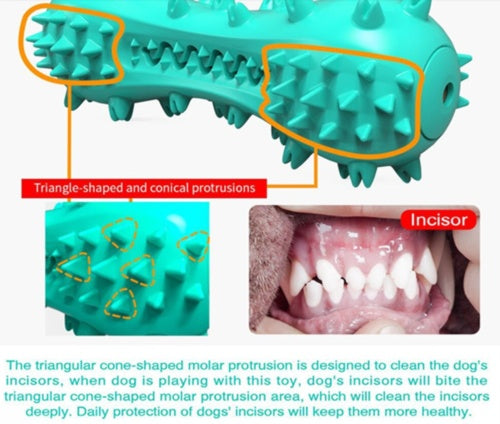 Rubber molar stick for aggressive dogs