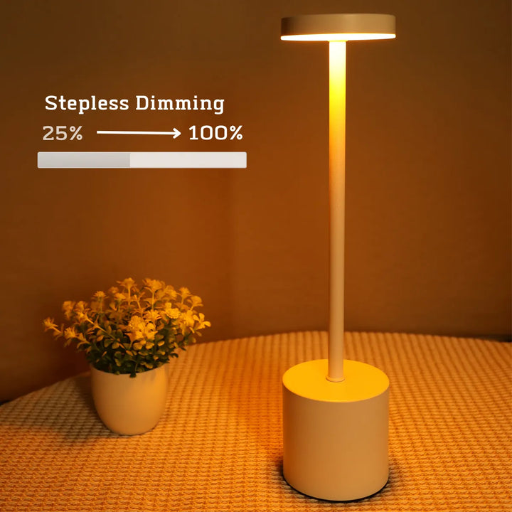 LED Rechargeable, Touch, Metal Table Lamp Bedroom, Living Room,  Creative Ambient Light. Indoor Decoration