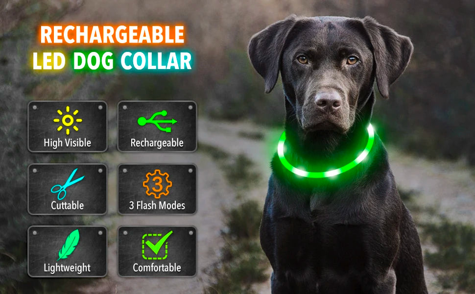 USB Rechargeable Luminous Collar Adjustable Led Glowing Dog Collar for Large Small Dogs Cat Night Light Collar Pet Safety Harnes