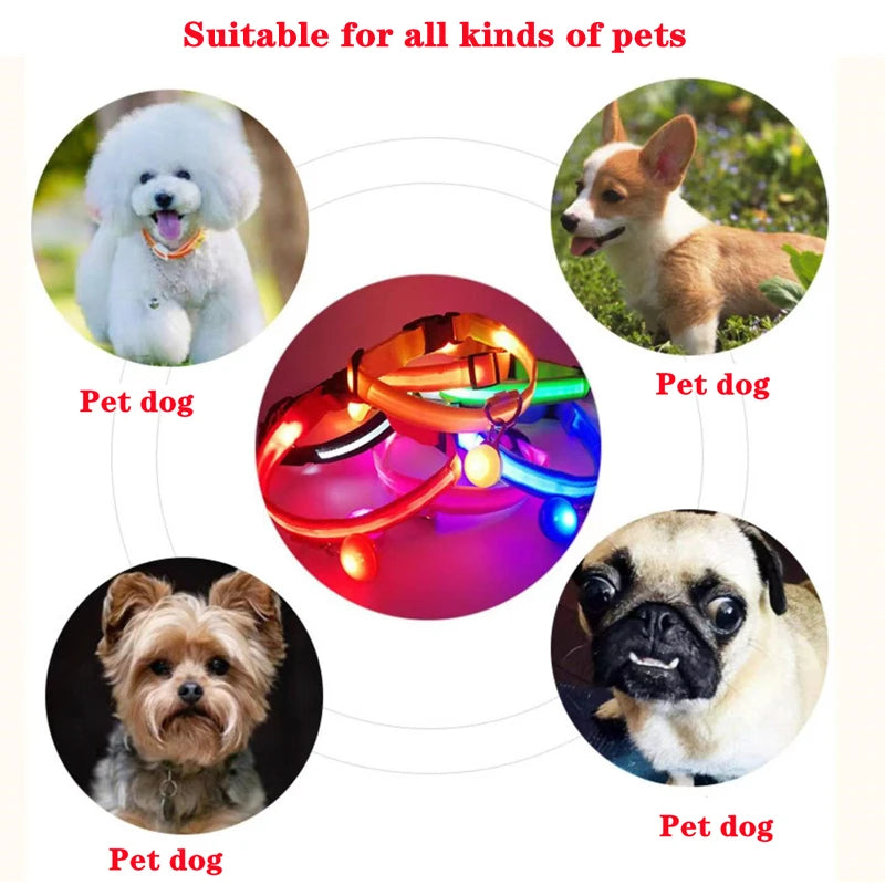 USB Charging Glowing Dog Collar With Pendant Detachable Luxury Led Light Bright For Small Dogs Cat Night Safety Collar Wholesale