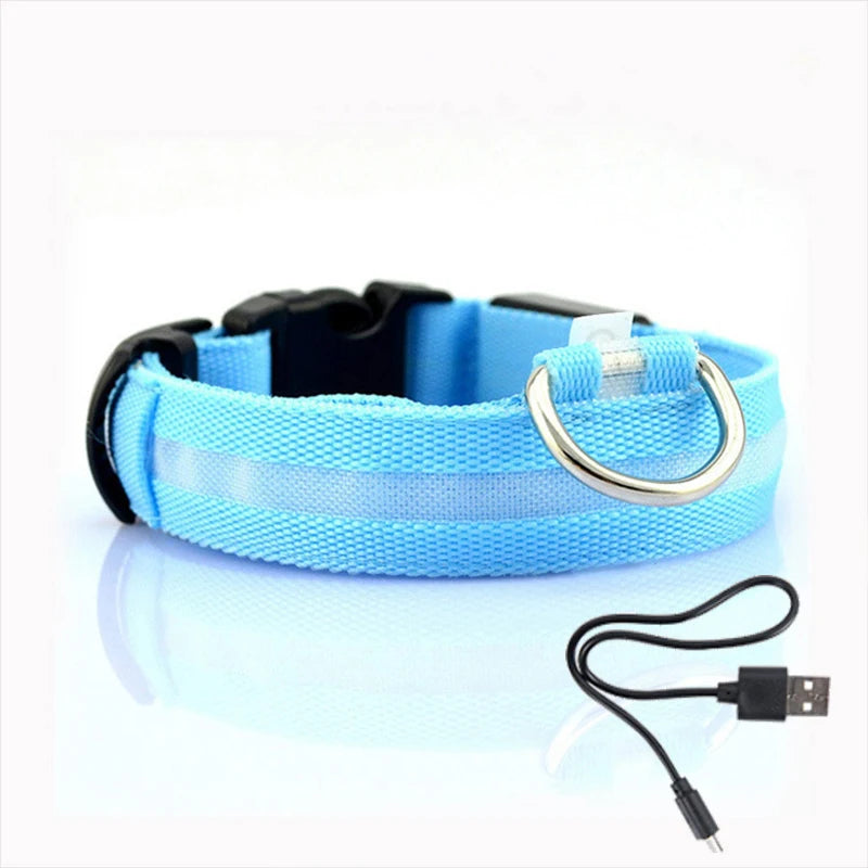 LED Dog Collar Light Anti-lost Collar For Dogs Puppies  Night Luminous Supplies Pet Products Accessories USB Charging/Battery