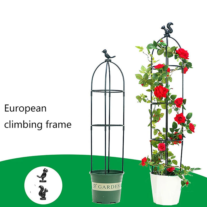 1 Set Climbing Plant Trellis | Support Cages For Flowers, Plants | Indoor/ Outdoor Plant Support Cage