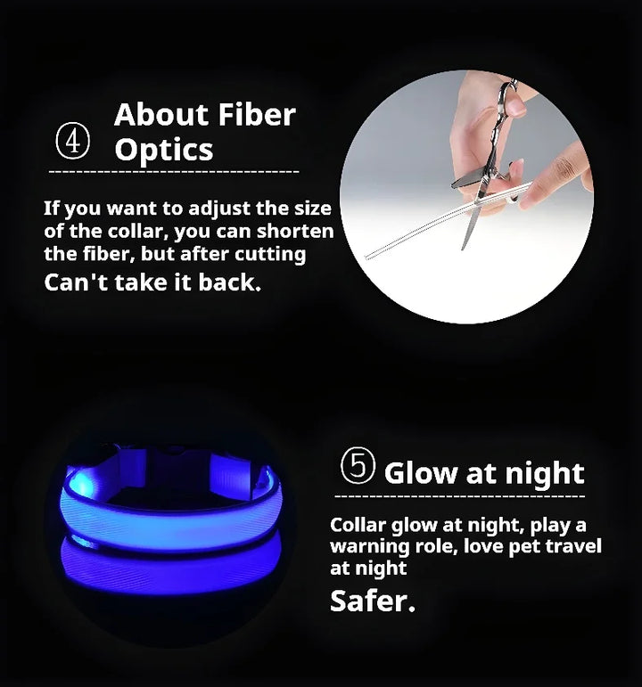 Dog Collar Nylon LED Night Safety Flashing Glow In The Dark Pet Dog Leash pet Dogs Luminous Fluorescent  dog accessories collar