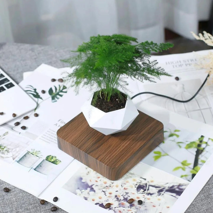 Levitating Air Bonsai Pot Rotation Planters Magnetic Suspension Floating Pot for Home Decoration