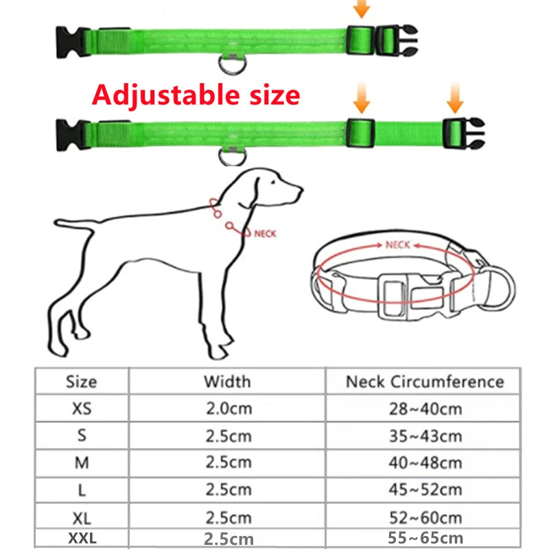 USB Rechargeable Luminous Collar Adjustable Led Glowing Dog Collar for Large Small Dogs Cat Night Light Collar Pet Safety Harnes