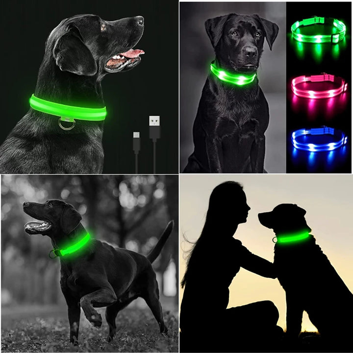 USB Charging Glowing Dog Collar With Pendant Detachable Luxury Led Light Bright For Small Dogs Cat Night Safety Collar Wholesale