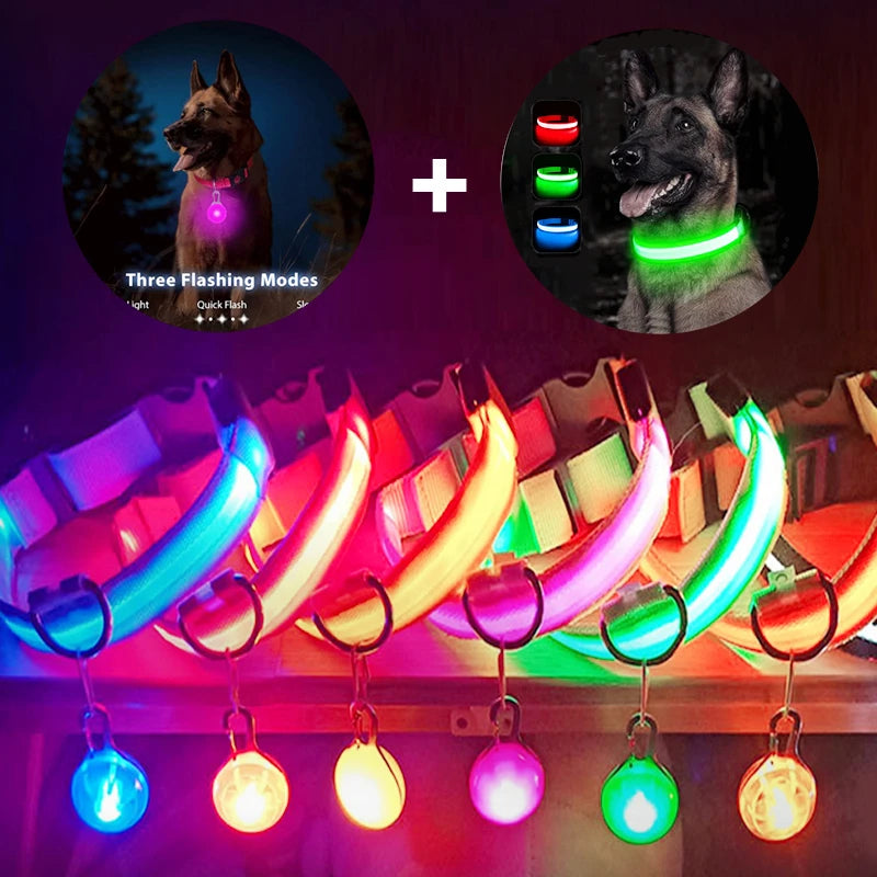 USB Charging Glowing Dog Collar With Pendant Detachable Luxury Led Light Bright For Small Dogs Cat Night Safety Collar Wholesale