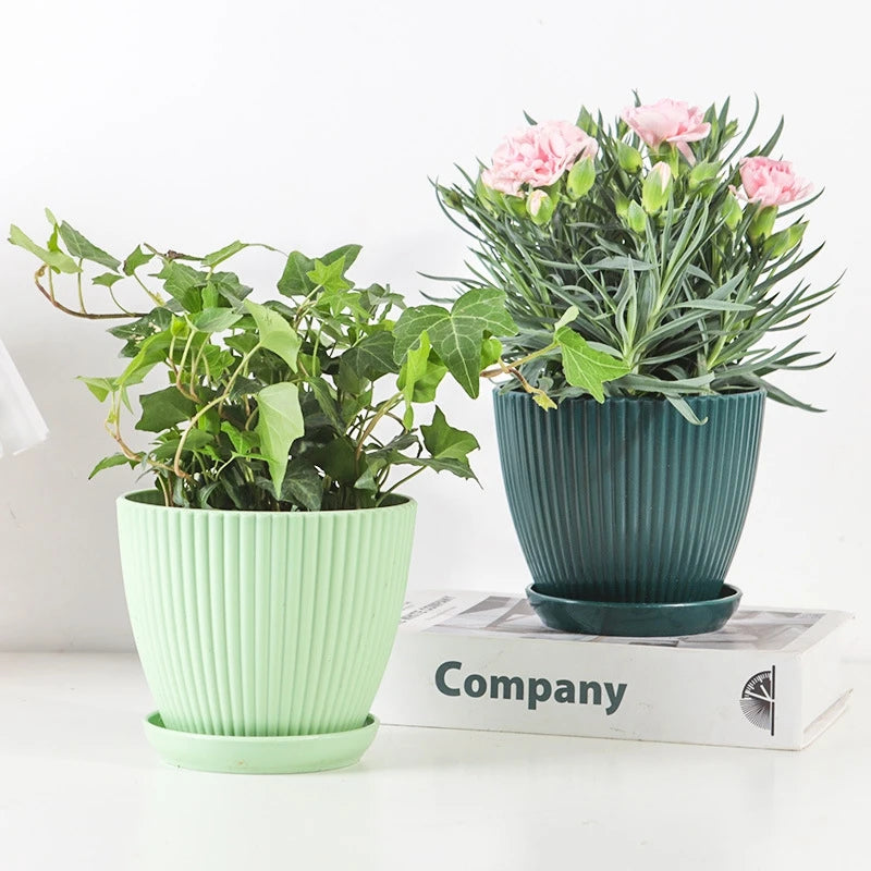 Plastic Succulent Flower Pot with Tray - Small Double Layer Round Planter for Home and Office Decor