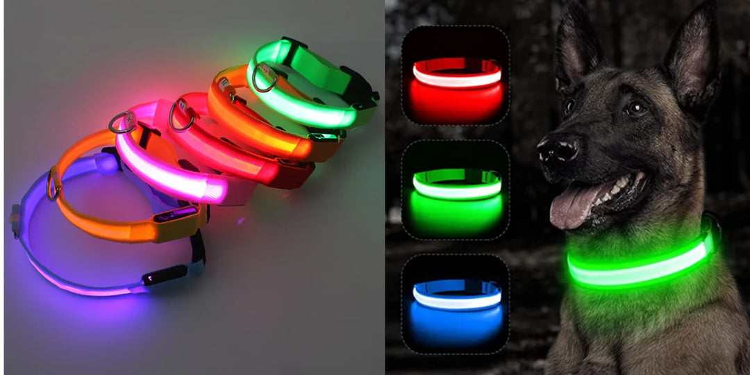 USB Charging Glowing Dog Collar With Pendant Detachable Luxury Led Light Bright For Small Dogs Cat Night Safety Collar Wholesale