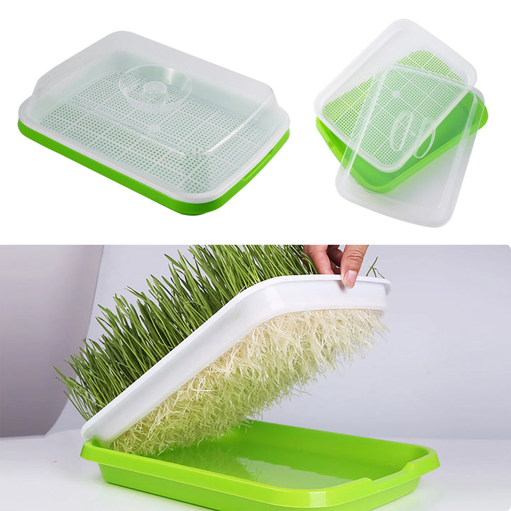 Germination Tray Bean Wheat Seedlings Soilless Growing Tools for Planting Pot