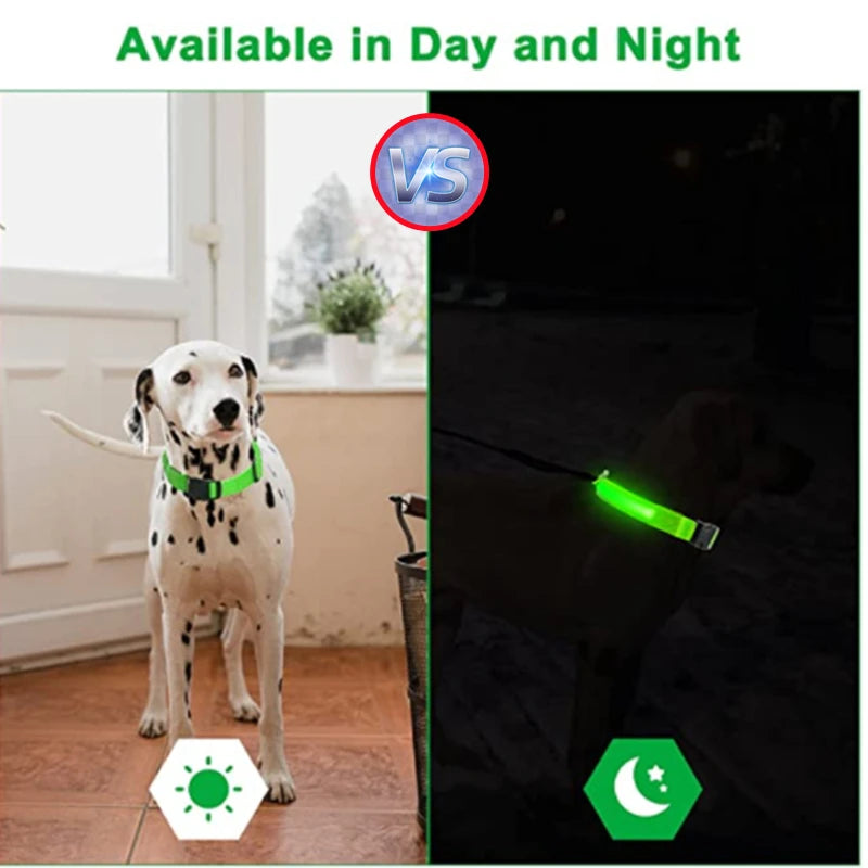 USB Rechargeable Luminous Collar Adjustable Led Glowing Dog Collar for Large Small Dogs Cat Night Light Collar Pet Safety Harnes