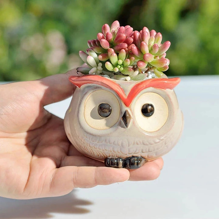 Owl Style Ceramic Flower Pot - Mini Animal Planter for Succulents and Cactus, Garden and Office Decor