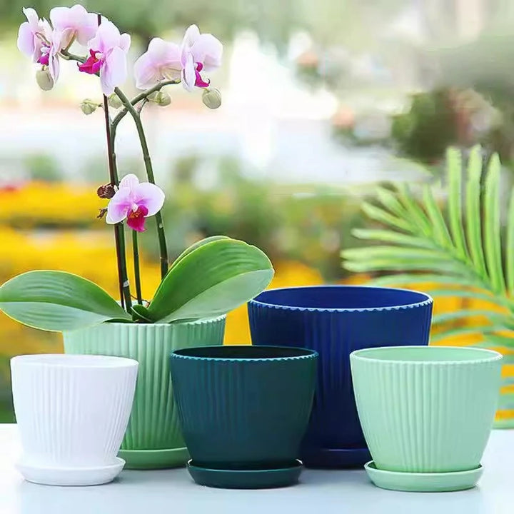 Plastic Succulent Flower Pot with Tray - Small Double Layer Round Planter for Home and Office Decor