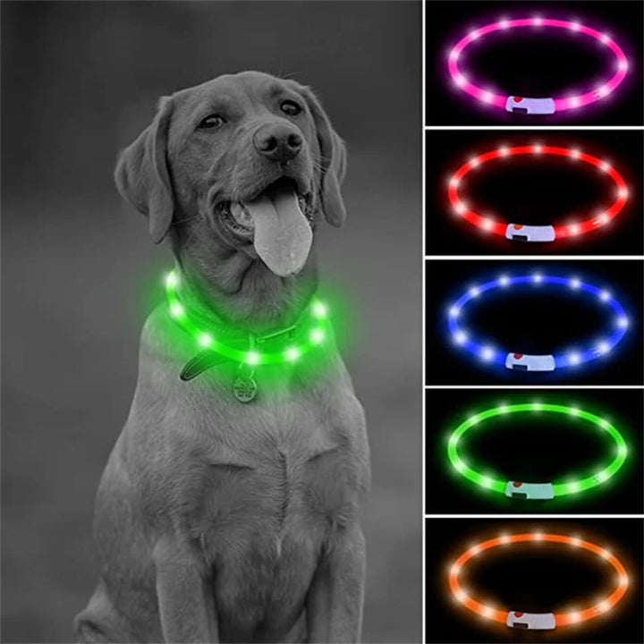 USB Rechargeable Luminous Collar Adjustable Led Glowing Dog Collar for Large Small Dogs Cat Night Light Collar Pet Safety Harnes