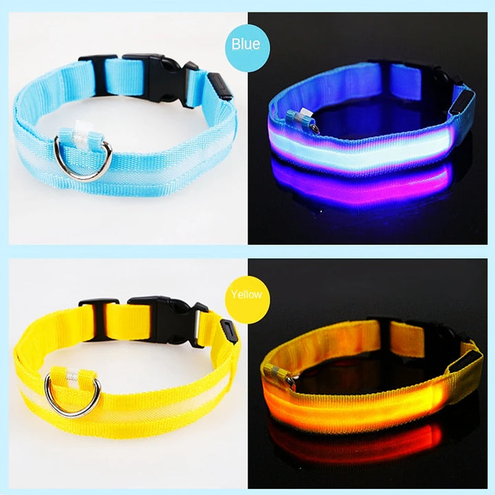 USB Rechargeable Luminous Collar Adjustable Led Glowing Dog Collar for Large Small Dogs Cat Night Light Collar Pet Safety Harnes