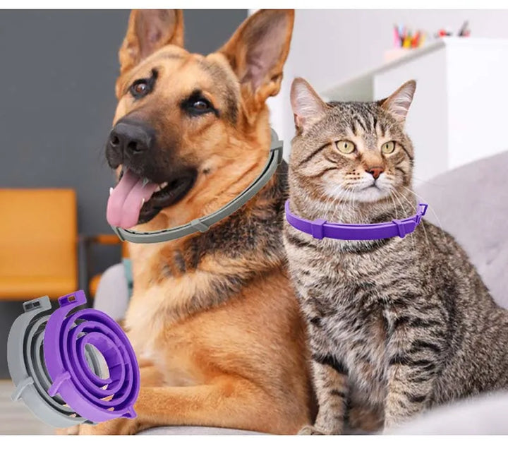 Pet Anti Flea Collar Adjustable Antiparasitic Cat Dog Necklace Portable Outdoor Anti-mosquito & Insect Repellent Pet Supplies