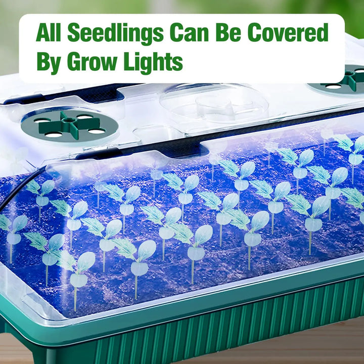 2 Packs Seed Starter Trays With High Dome Germination Kit - 80 Cells, 4 LED Grow Lights, Smart Timer & 3 Modes For Home Garden