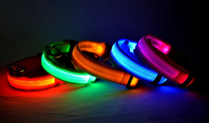 USB Charging Glowing Dog Collar With Pendant Detachable Luxury Led Light Bright For Small Dogs Cat Night Safety Collar Wholesale