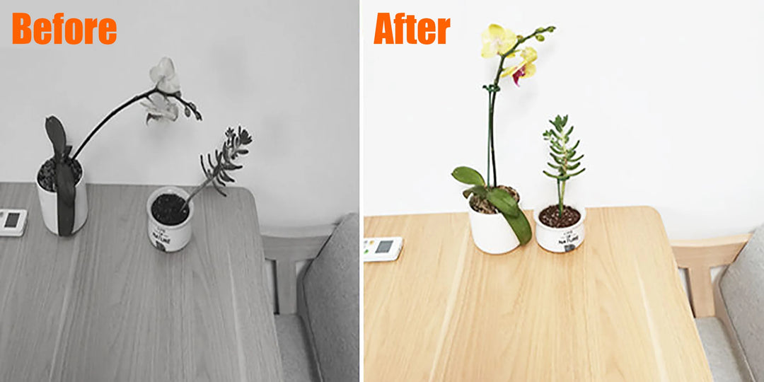 Plastic Plant Supports Flower Stand Reusable Gardening Supplies