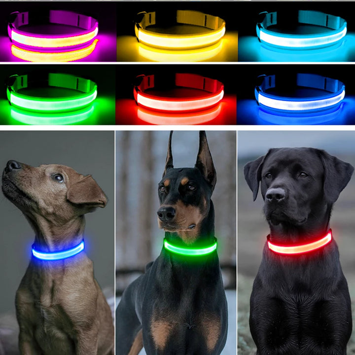 USB Charging Glowing Dog Collar With Pendant Detachable Luxury Led Light Bright For Small Dogs Cat Night Safety Collar Wholesale