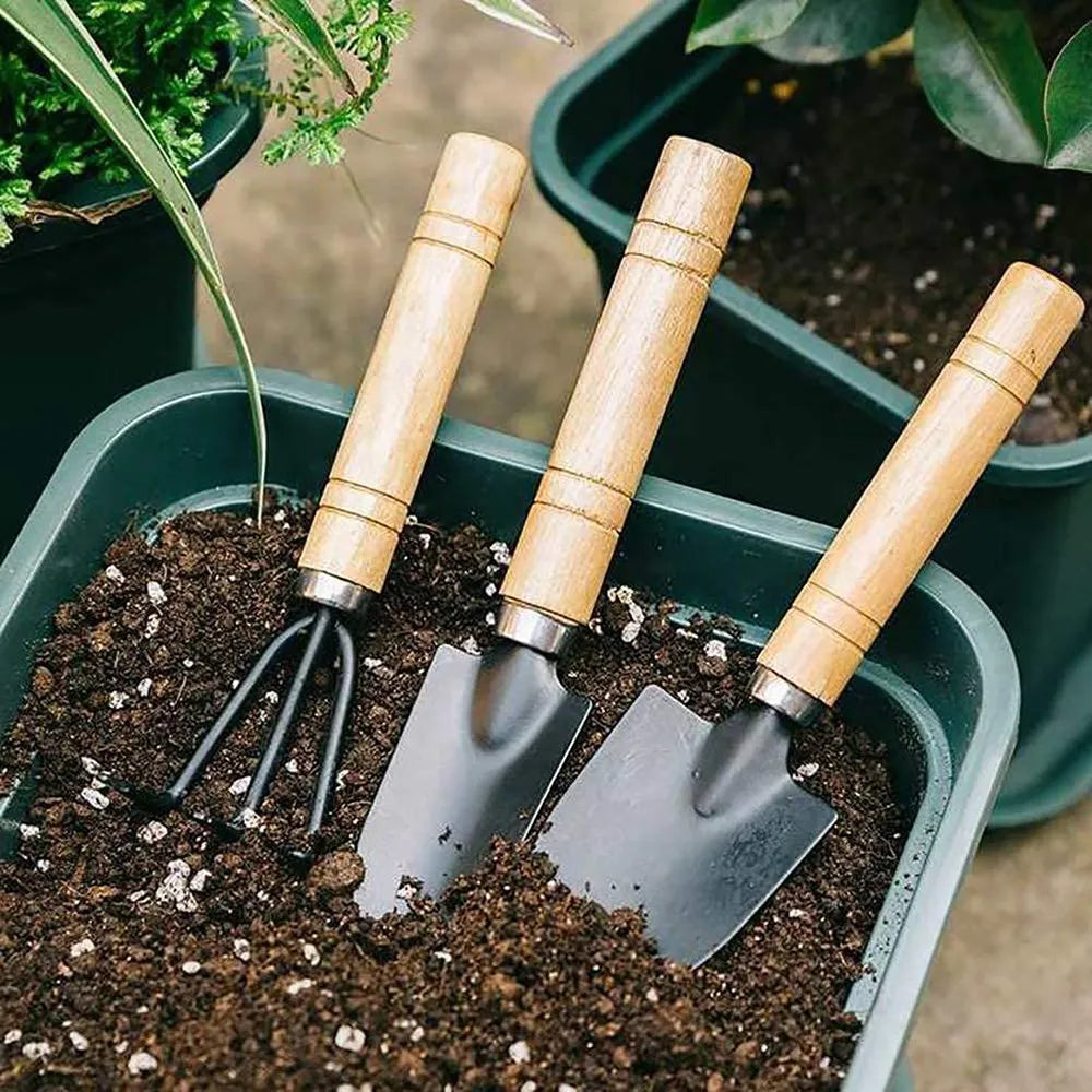 3Pcs Garden Tool Set For Garden Plants Flower, Pot, Vegetables, Digging, Weeding Indoor Small Plants Wood Handle