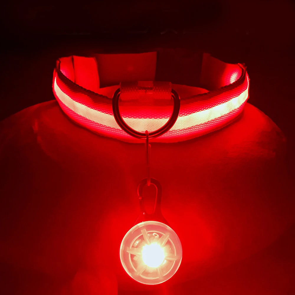 USB Charging Glowing Dog Collar With Pendant Detachable Luxury Led Light Bright For Small Dogs Cat Night Safety Collar Wholesale