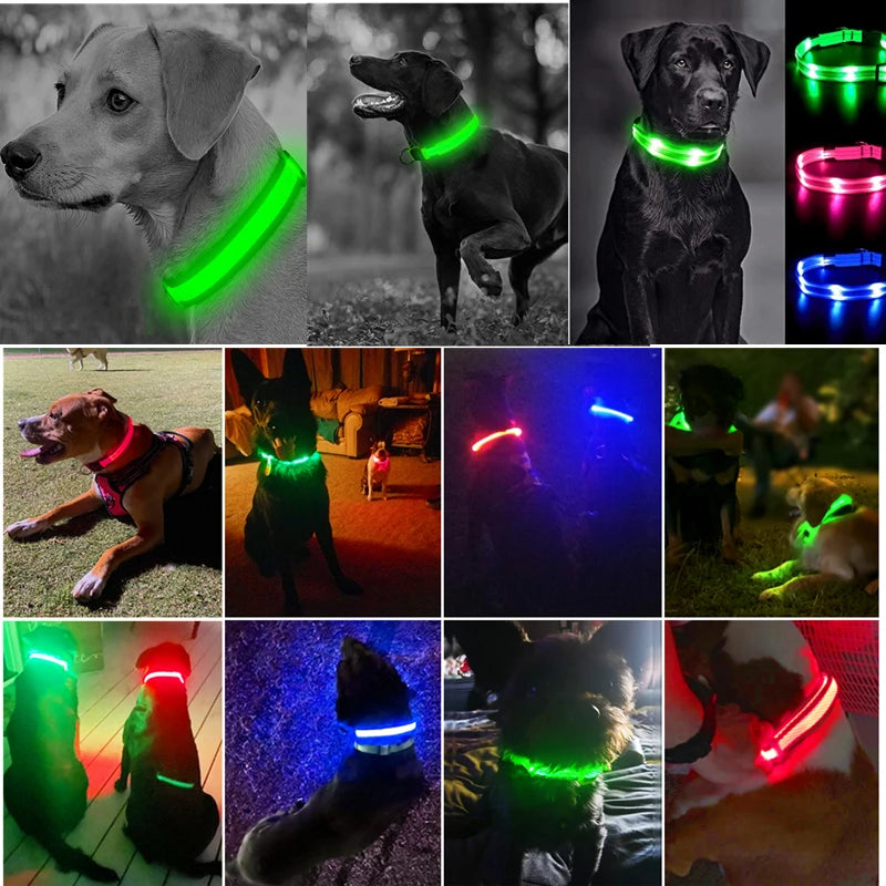 USB Rechargeable Luminous Collar Adjustable Led Glowing Dog Collar for Large Small Dogs Cat Night Light Collar Pet Safety Harnes