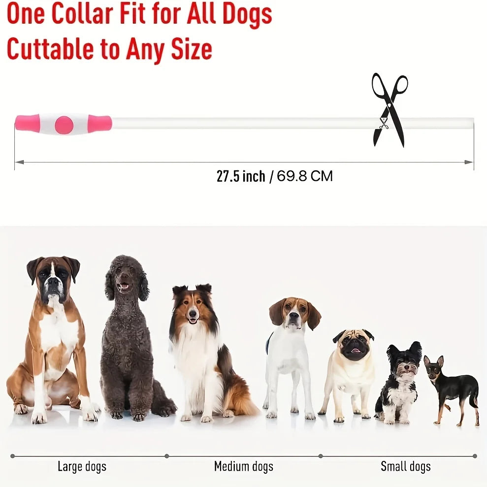 Pet Dog LED Light Collar Luminous Anti-Lost Dog Collar USB Rechargeable Dog Necklace Collar