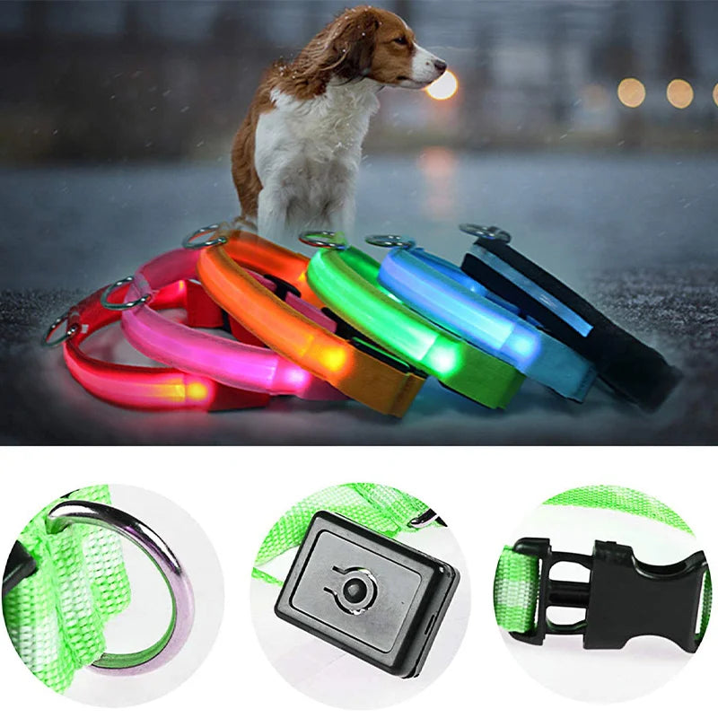 USB Charging Glowing Dog Collar With Pendant Detachable Luxury Led Light Bright For Small Dogs Cat Night Safety Collar Wholesale