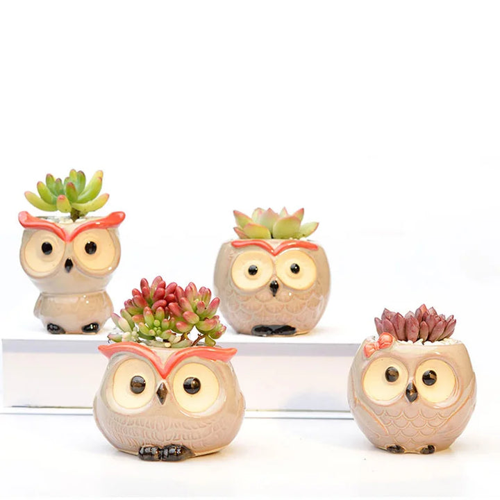 Owl Style Ceramic Flower Pot - Mini Animal Planter for Succulents and Cactus, Garden and Office Decor