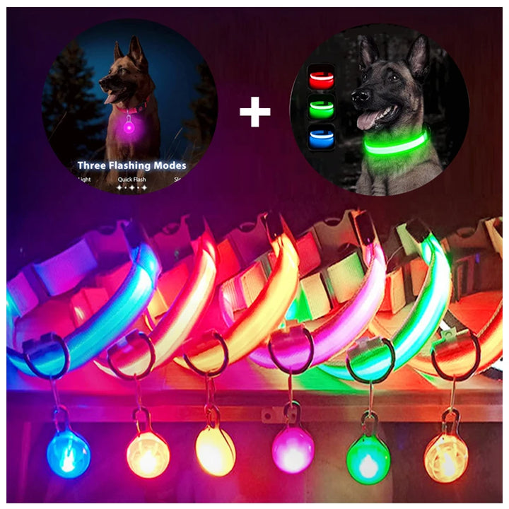 USB Charging Glowing Dog Collar With Pendant Detachable Luxury Led Light Bright For Small Dogs Cat Night Safety Collar Wholesale