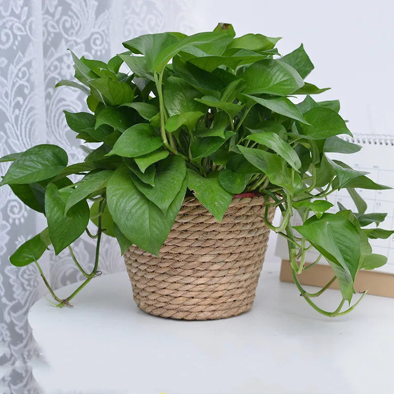 Straw Weaving Flower Plant Pot Basket Grass Planter for Indoor Outdoor Plants