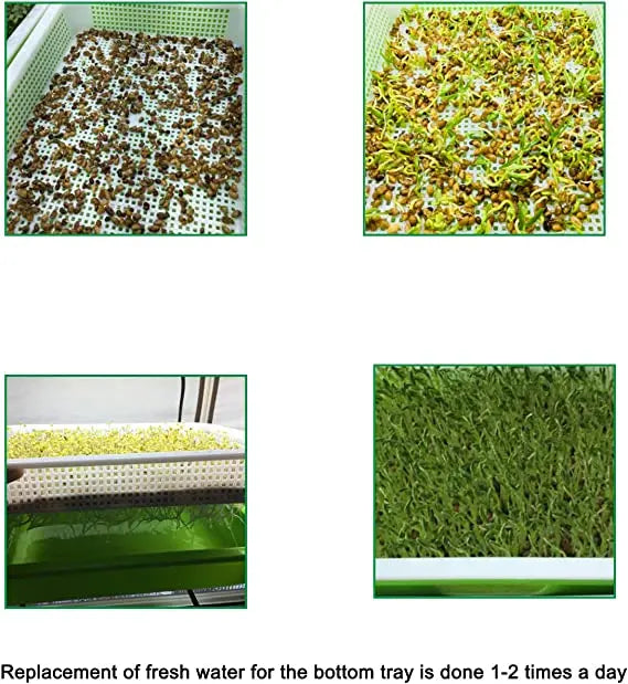 Germination Tray Bean Wheat Seedlings Soilless Growing Tools for Planting Pot