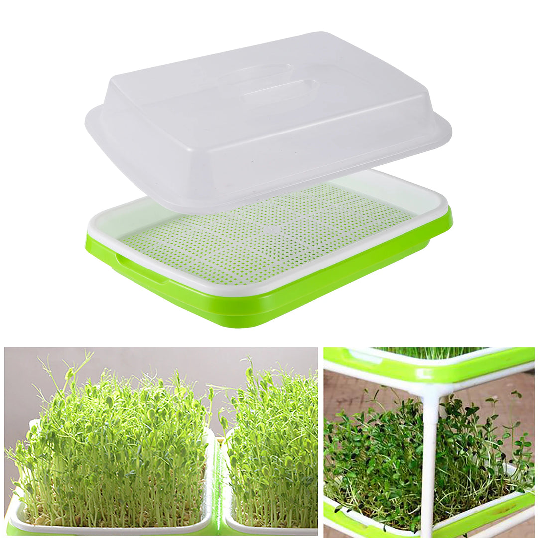 Germination Tray Bean Wheat Seedlings Soilless Growing Tools for Planting Pot