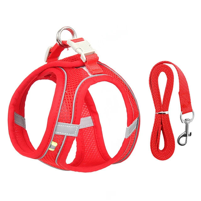 Safe & Adjustable Pets Harness