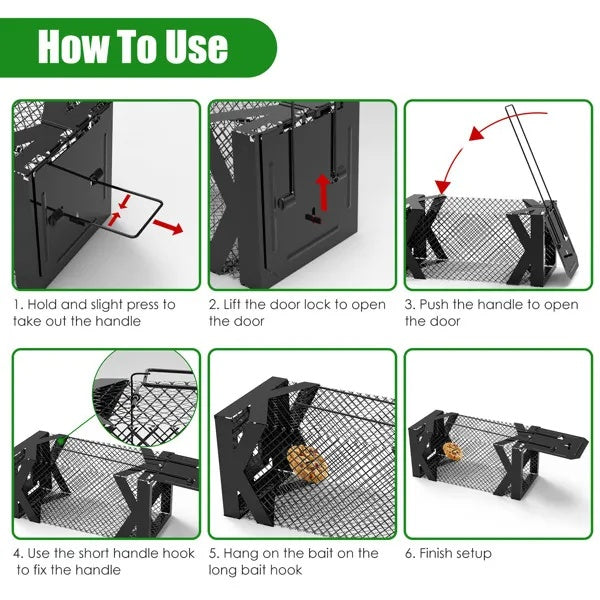 Safe mouse trap no chemicals